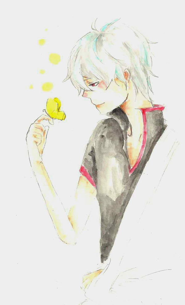 ちょうちょ
