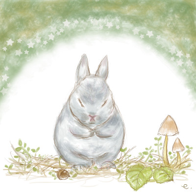 デブうさは毛づくろいが苦手