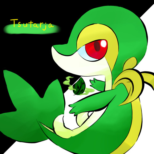ツタージャ
