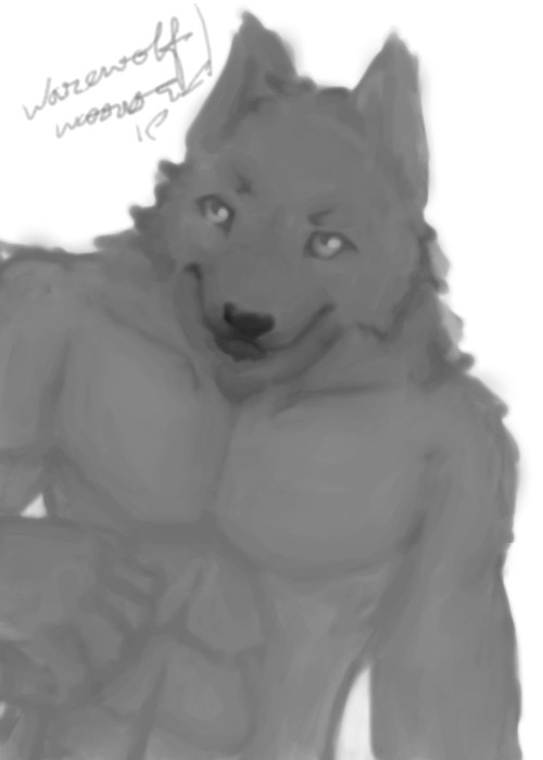 namelesswolf 2