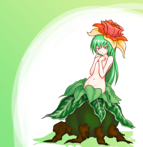 看板娘のドリフロル