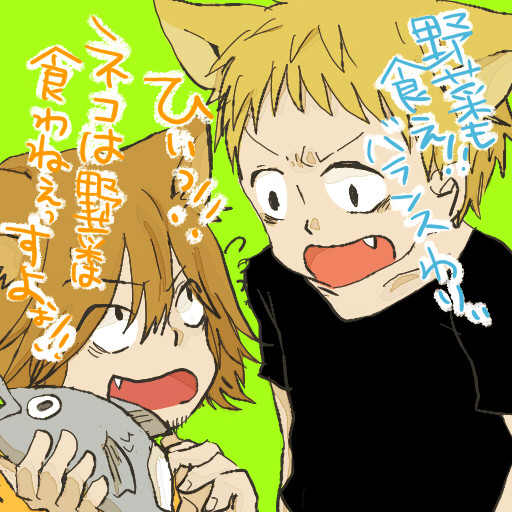 【猫耳とか】堺さんと世良【注意】