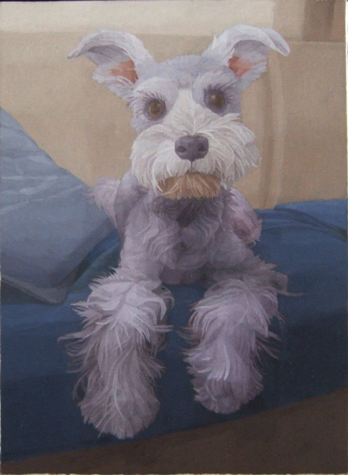 犬