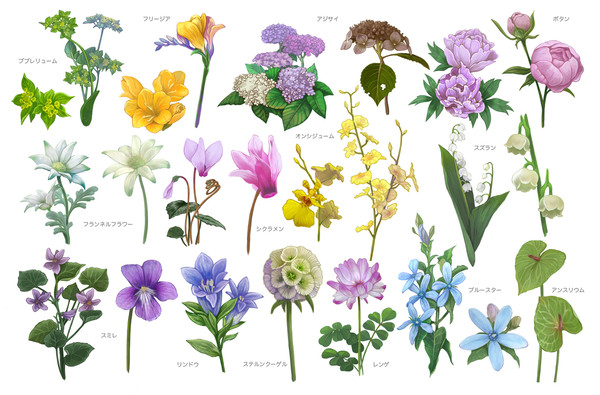 【All rights reserved.】植物図鑑 花編1