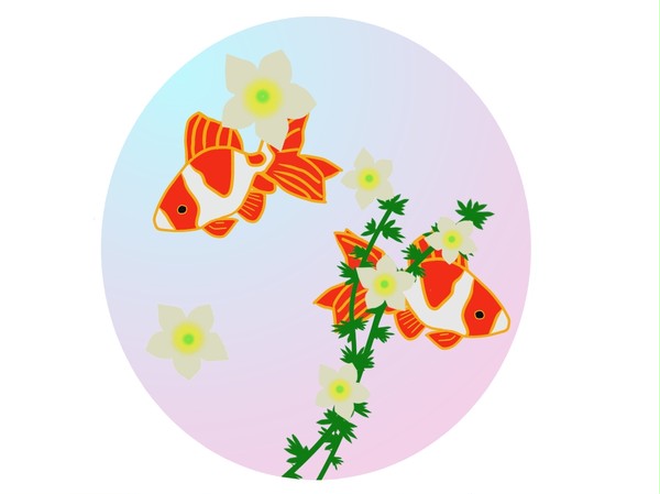 金魚と梅花藻