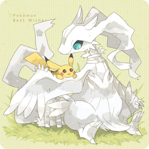 ベストウイッシュ!