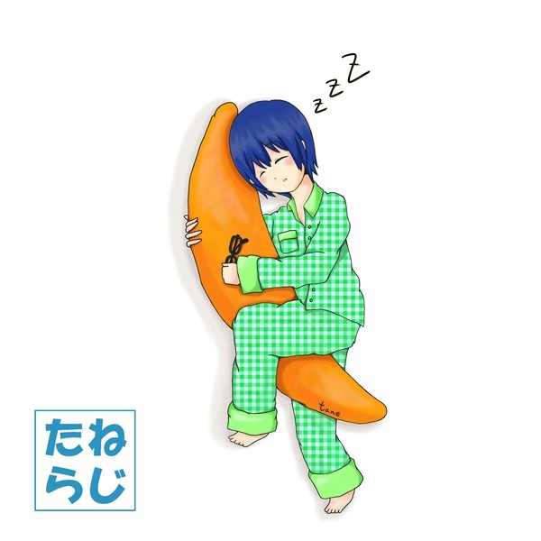 柿のtane抱き枕！！