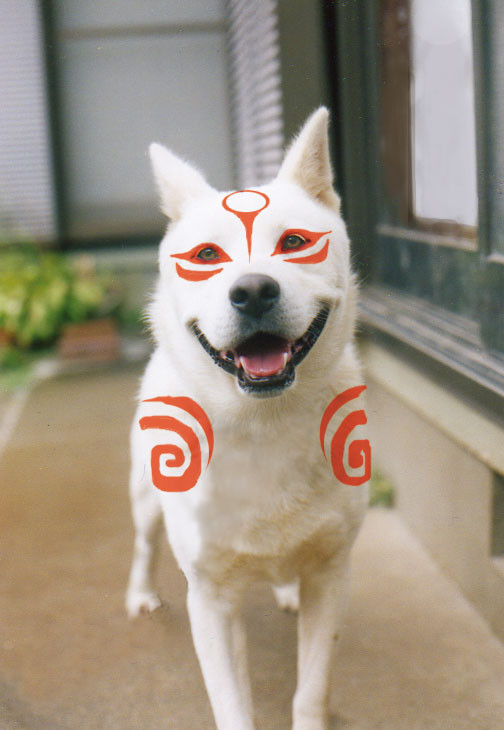 愛犬をいじくってみた