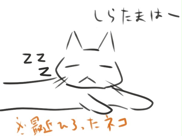 しらたま