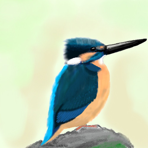 カワセミ描いてみた！