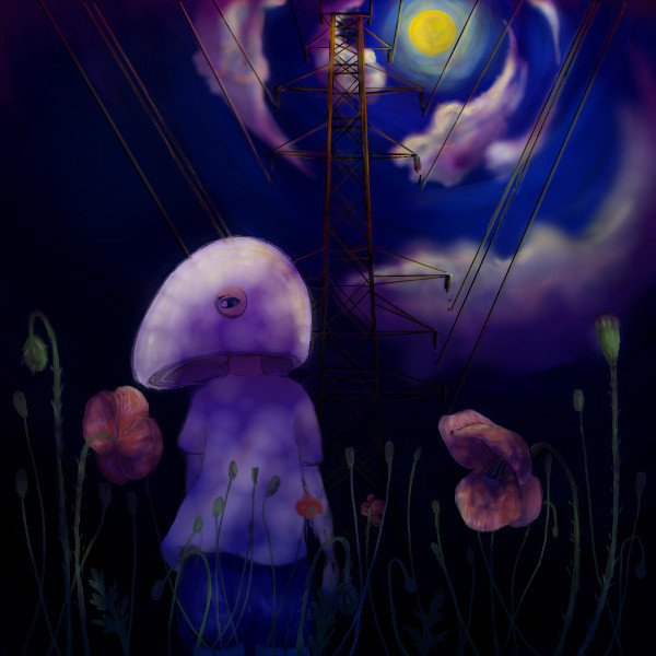 夜葬。