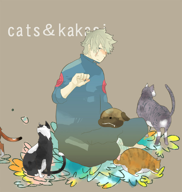 ねことカカシさん