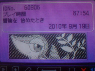 トレーナーカード