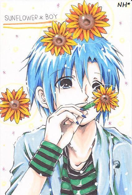 SUNFLOWER*BOY