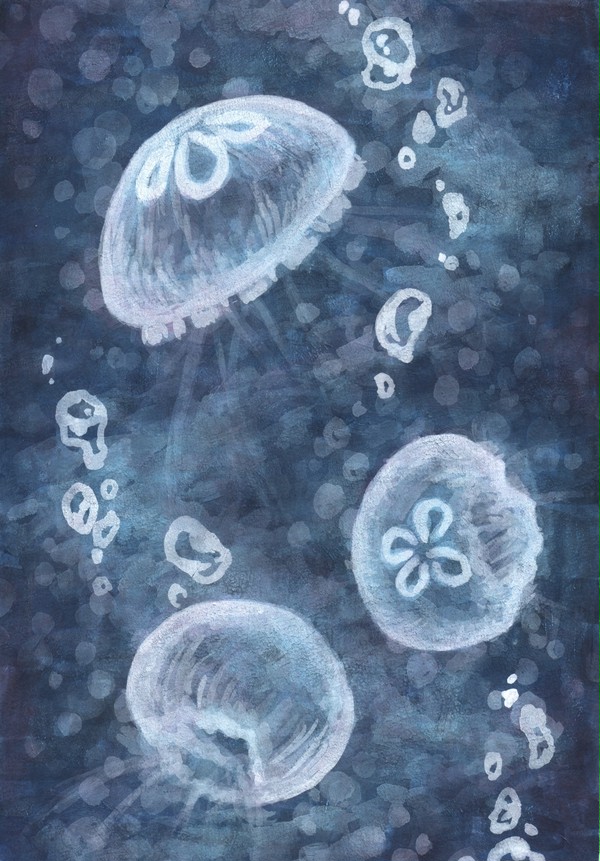 クラゲ