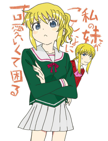 私の妹が…