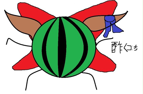 酢烏賊