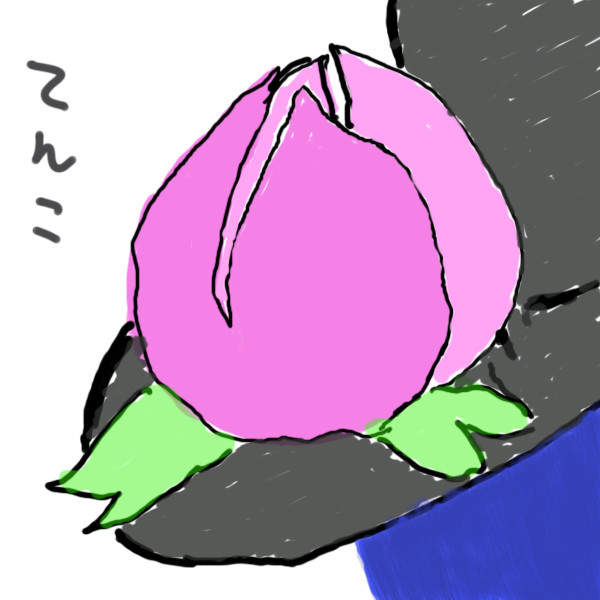 てんこ