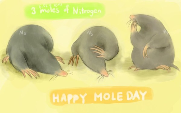 Mole Day