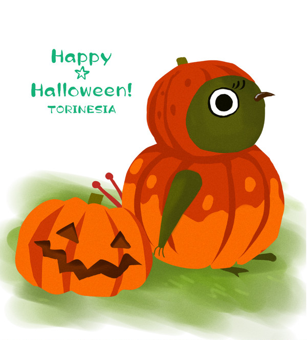 TORINESIA　かぼちゃ！