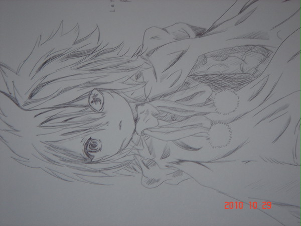 テガミバチ　ラグ描いた。