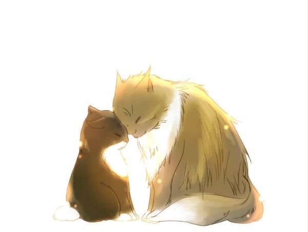 【ねこたりあ】こつーん【おひさま】