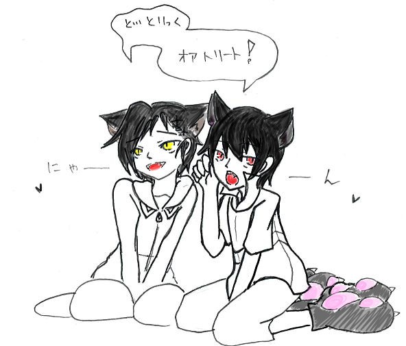 にゃーん
