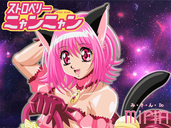 ニャンニャン