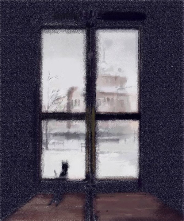 雪 猫