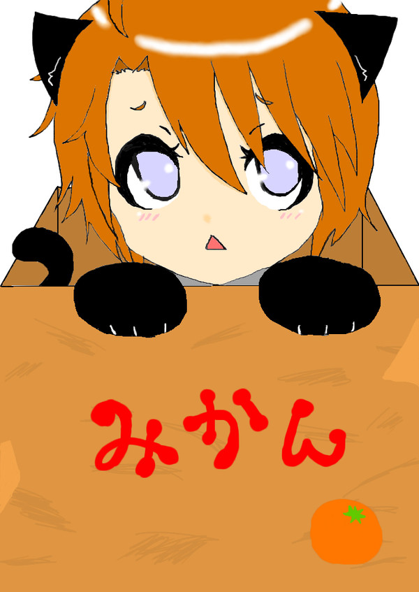 黒猫