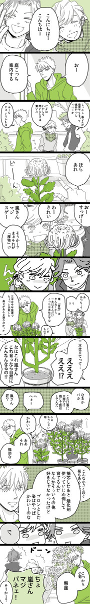 嵐さんの菊　【GS3】