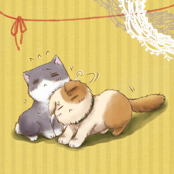 [島国ねこ]かーまーえーよー