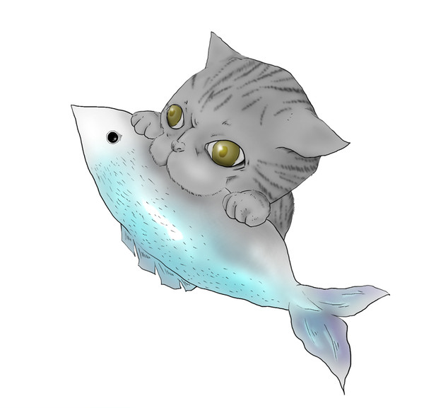 猫