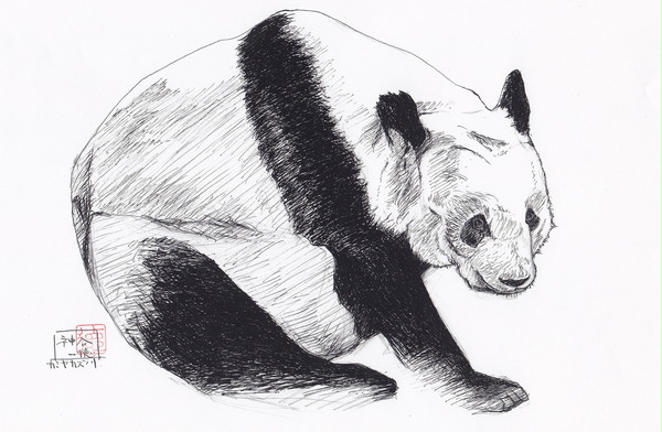 パンダ