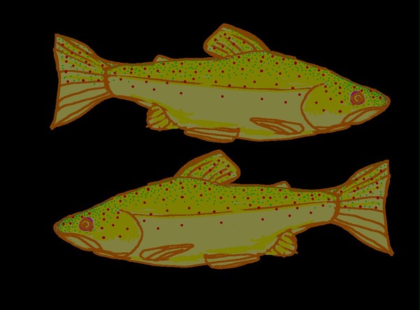 Fish1