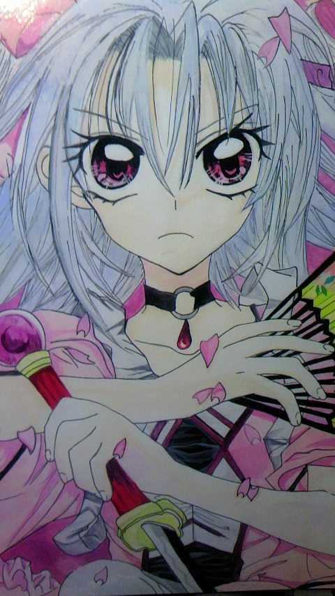桜姫華伝