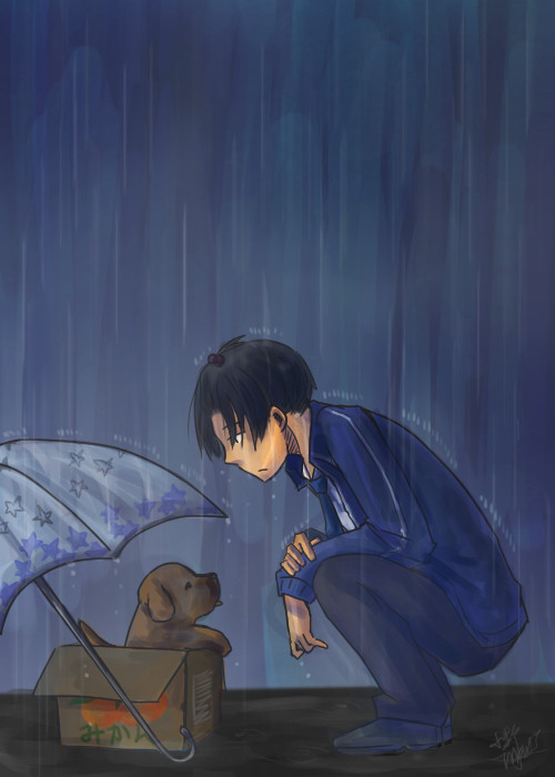 雨の日