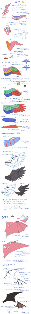 羽についていろいろ - 1/1