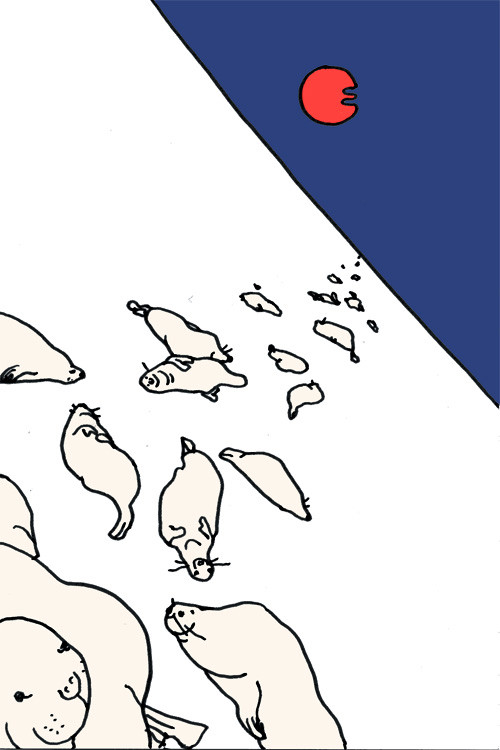 あざらし