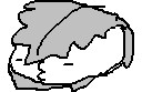 何も置いてないのは
