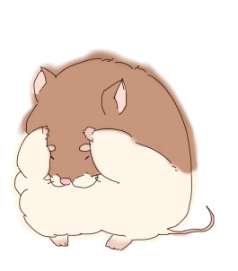 ハム
