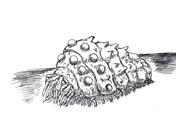 らくがき