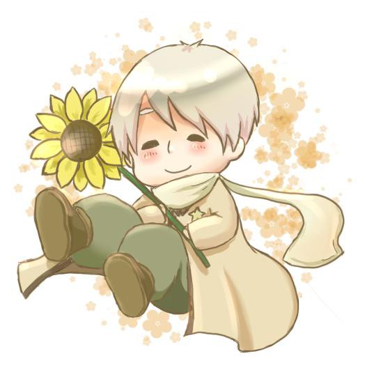 ひまわりっ