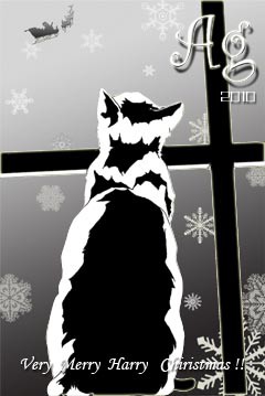 クリスマスカード的フライヤ。