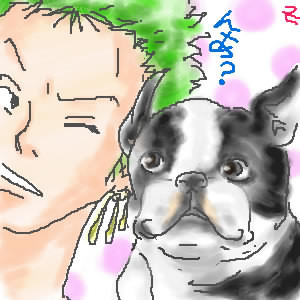 フレンチブルとゾロ