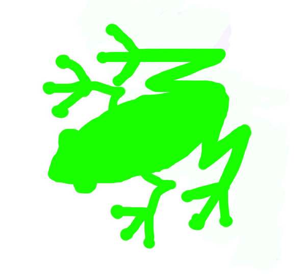 蛙を下から見た時