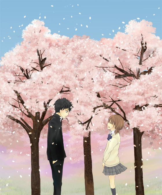 桜