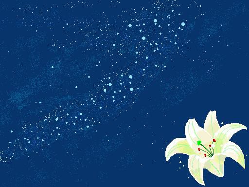 花と星