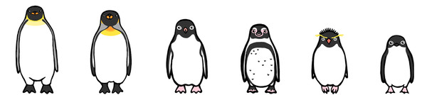 とりまと２