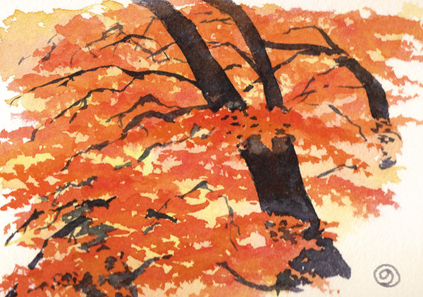 紅葉習作１